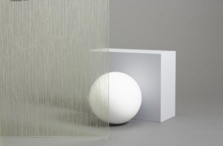 Fas Sh2 Csgc Web 500X334