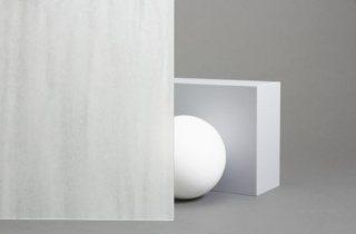 Fas Sh2 Ptpg Web 500X334