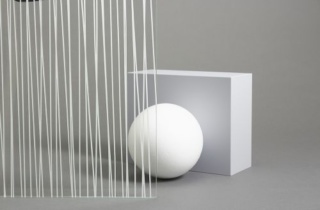 Fas Sh2 Ptst Web 500X334