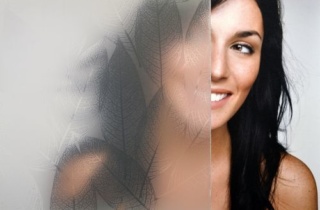 Sgd 6006 Glazed Leaf 500X340