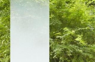 Sh2 Fgim Illumina 2 469X500